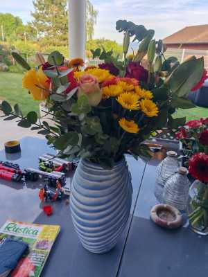 IMG 20260603 200944