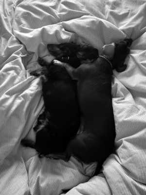 IMG 0868 IMG 0868