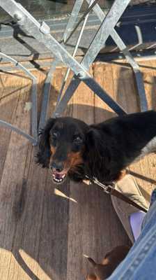 att.qrZ8eMS1aQhXKSARdoEgmOIxiDK5s1 gU1chnu9jZbQ