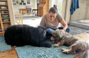 574ffe03 1c7b 4bdd bc5f e0a2af5180fc